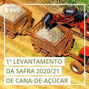 Safra da cana segue voltada à produção de açúcar e mostra novo aumento do etanol de milho