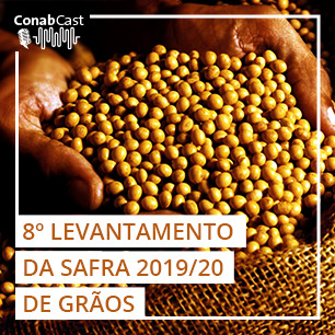 Levantamento de grãos confirma produção acima de 250 milhões de toneladas na safra 2019/2020