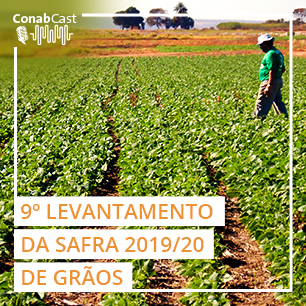 Início da colheita de milho confirma recorde de 250,5 milhões de t na produção total de grãos
