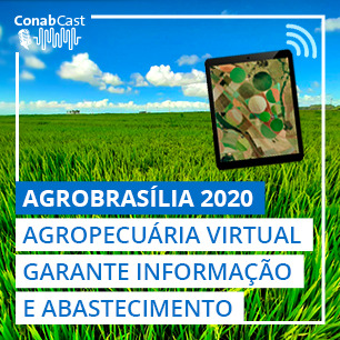 Agropecuária virtual garante abastecimento e informação