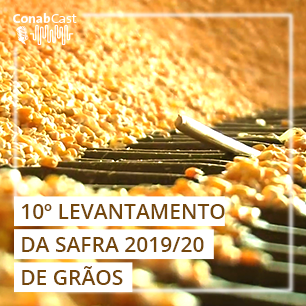 Produção de grãos no país deve chegar a 251,4 milhões de toneladas 