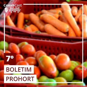 Preço da maioria das hortaliças analisadas pelo boletim do Prohort registra queda
