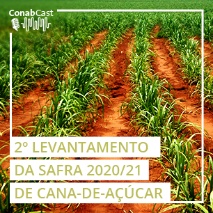 Conab estima produção estável de cana e aumento de 32% na de açúcar