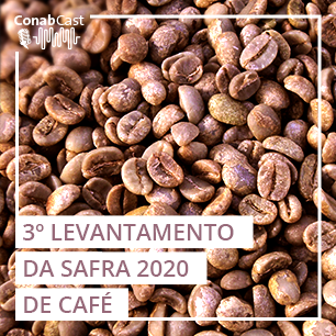 Clima é favorável ao arábica e safra brasileira de café é a segunda maior da história