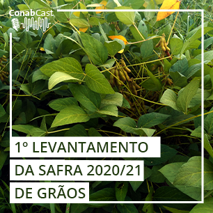 Produção de grãos deve superar 268 milhões de toneladas na safra 2020/21