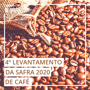 Bienalidade positiva e clima favorecem produção histórica de café