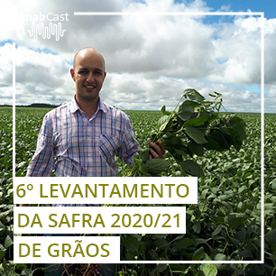 Produção de soja e aumento da área de milho impulsionam supersafra de grãos