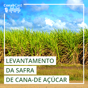 Safra de cana-de-açúcar no país aponta produção menor para o ciclo 2021/22