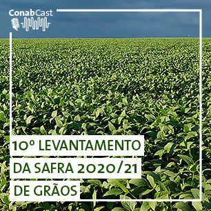Atraso no plantio de milho 2ª safra impacta produção que deve ser próxima a 67 milhões de toneladas