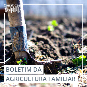 Boletim com cenários e perspectivas para agricultura familiar é lançado nesta segunda-feira