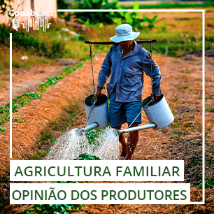 Conab traz a visão de produtores sobre os principais temas da agricultura familiar
