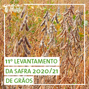 Clima adverso impacta as lavouras e produção deve chegar a 254 milhões de toneladas na safra 2020/21
