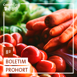 Baixas temperaturas impactam oferta de cenoura e tomate e alta ultrapassa 50% no atacado de cinco estados