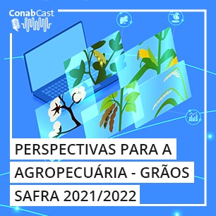 Conab estima produção total de 289,6 milhões de toneladas de grãos para safra 2021/22