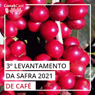 Novo levantamento da safra de café nacional estima produção de 46,9 milhões de sacas