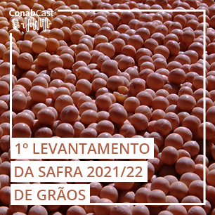 Estimativa indica aumento na produção de grãos na safra 2021/22, com previsão em 288,61 milhões de toneladas