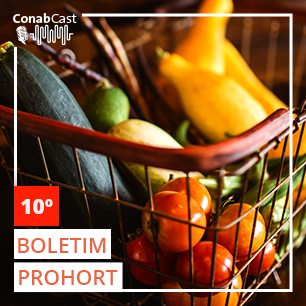 Boletim Prohort: Preços de frutas e hortaliças seguem em alta no país