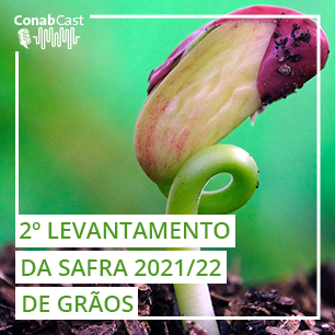 Clima favorece semeadura das culturas de 1ª safra e produção pode chegar a 289,8 milhões de toneladas
