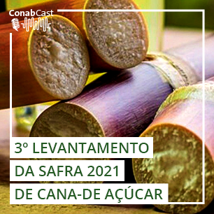 Geadas e estiagem impactam a produção de cana-de-açúcar e derivados no país
