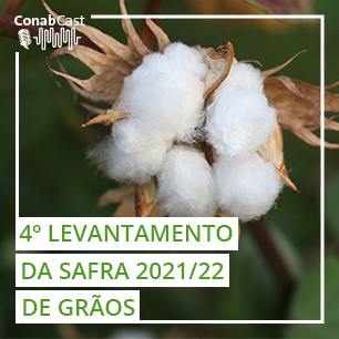 Soja e trigo garantem aumento na produção nacional de grãos