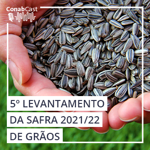 Nova estimativa aponta para uma produção de grãos na safra 2021/22 em 268,2 milhões de toneladas