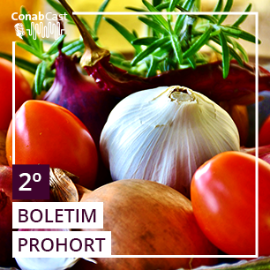 Boletim Prohort: Redução na demanda por frutas favorece preços baixos da laranja e mamão