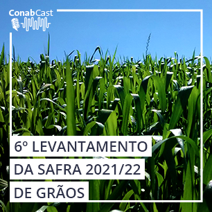 Safra 2021/22 cresce 4% em relação ao ciclo anterior e está estimada em 265,7 milhões de toneladas