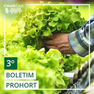 BOLETIM PROHORT: Condições climáticas influenciam no mercado de frutas e hortaliças