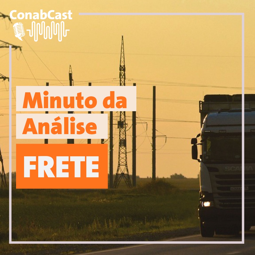 Minuto da Análise: Preços de serviço de frete devem manter tendência de alta