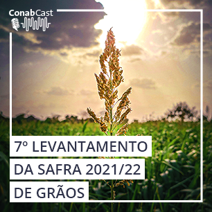 Produção nacional de grãos é estimada em 269,3 milhões de toneladas na safra 2021/22