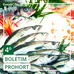 BOLETIM PROHORT: Edição especial traz informações sobre setor de aquicultura e pesca