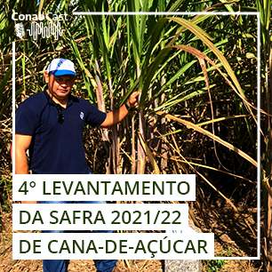 Clima adverso impacta lavouras de cana e produção chega a 585,2 milhões de toneladas na safra 2021/22