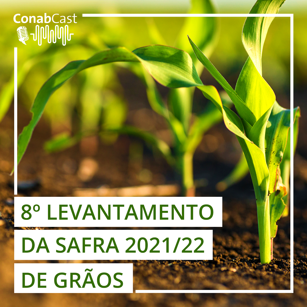 Safra de grãos 2021/22 pode chegar a 270,2 milhões de toneladas