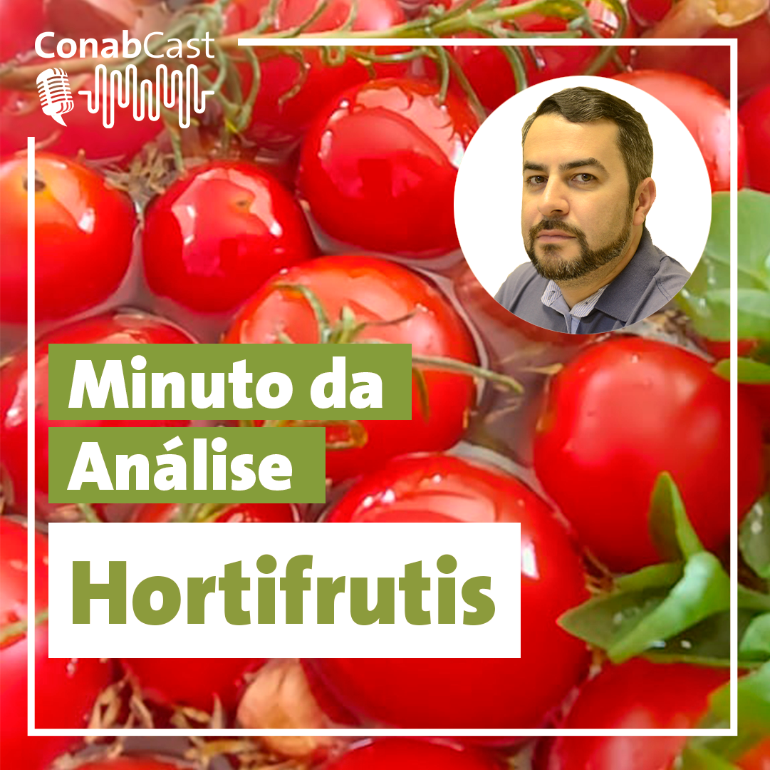 Minuto da Análise – Conab analisa impactos da onda de frio em hortaliças