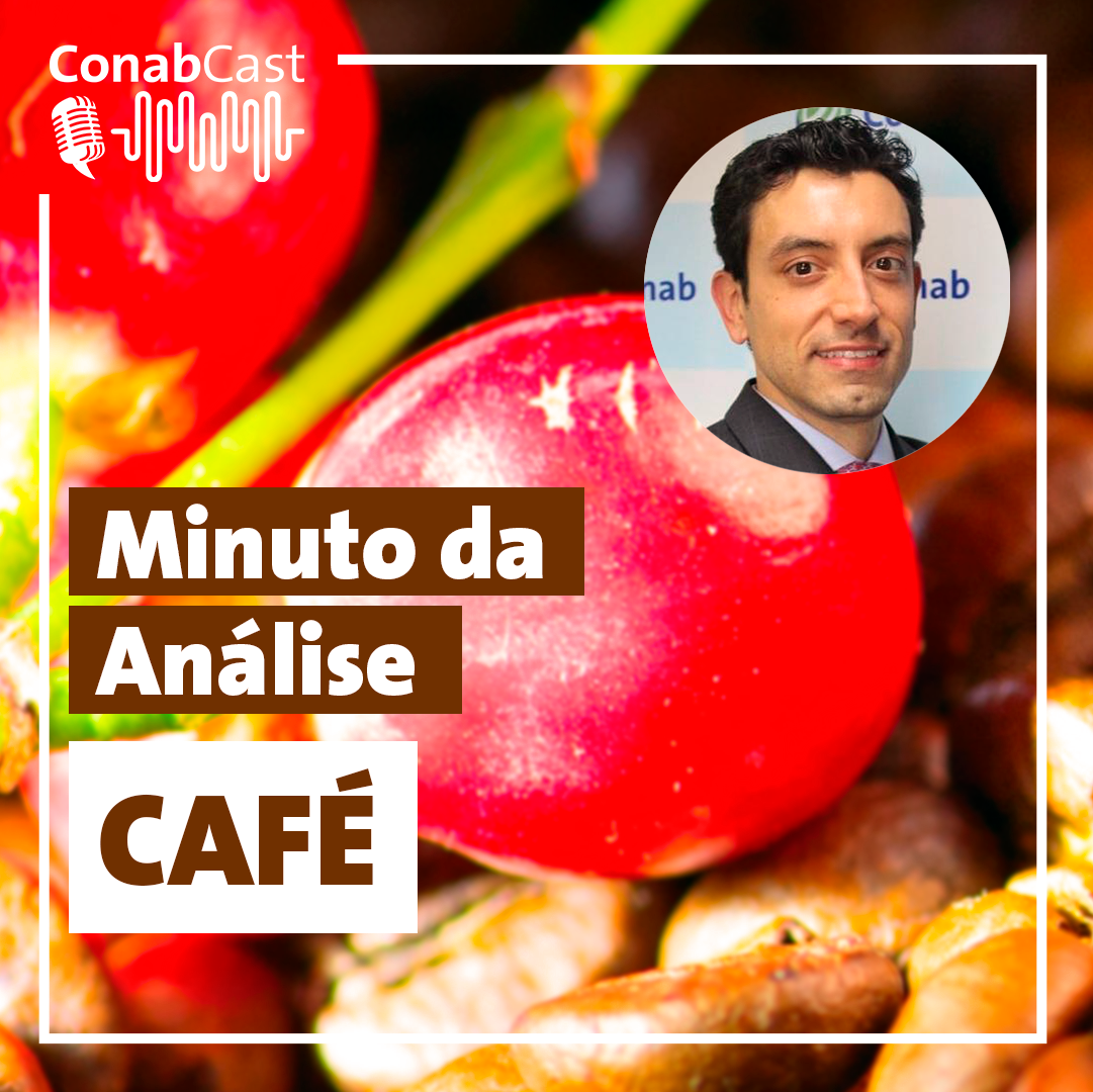 Minuto da Análise - Conab analisa o incremento da área em formação do café