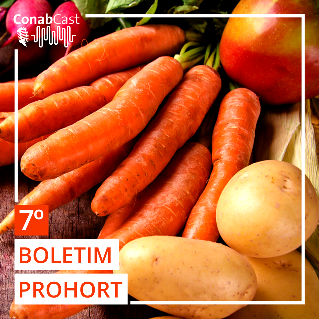 Boletim Prohort verifica manutenção na queda de preços de hortaliças no atacado