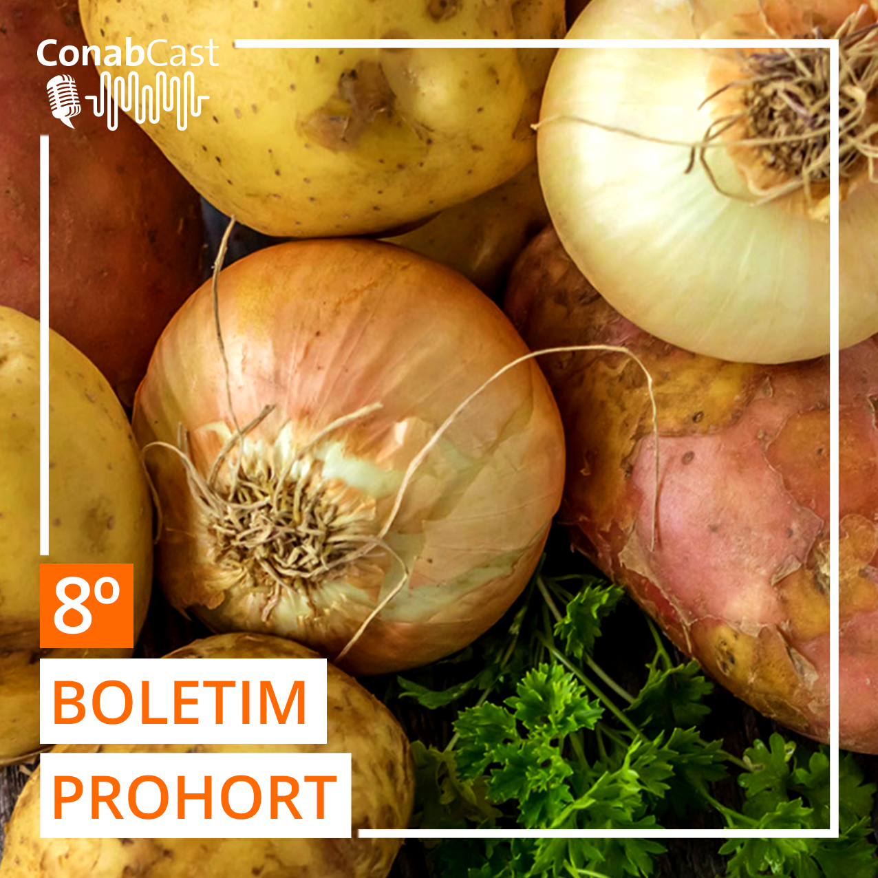 BOLETIM PROHORT: Mercados atacadistas apontam nova queda de preço das hortaliças