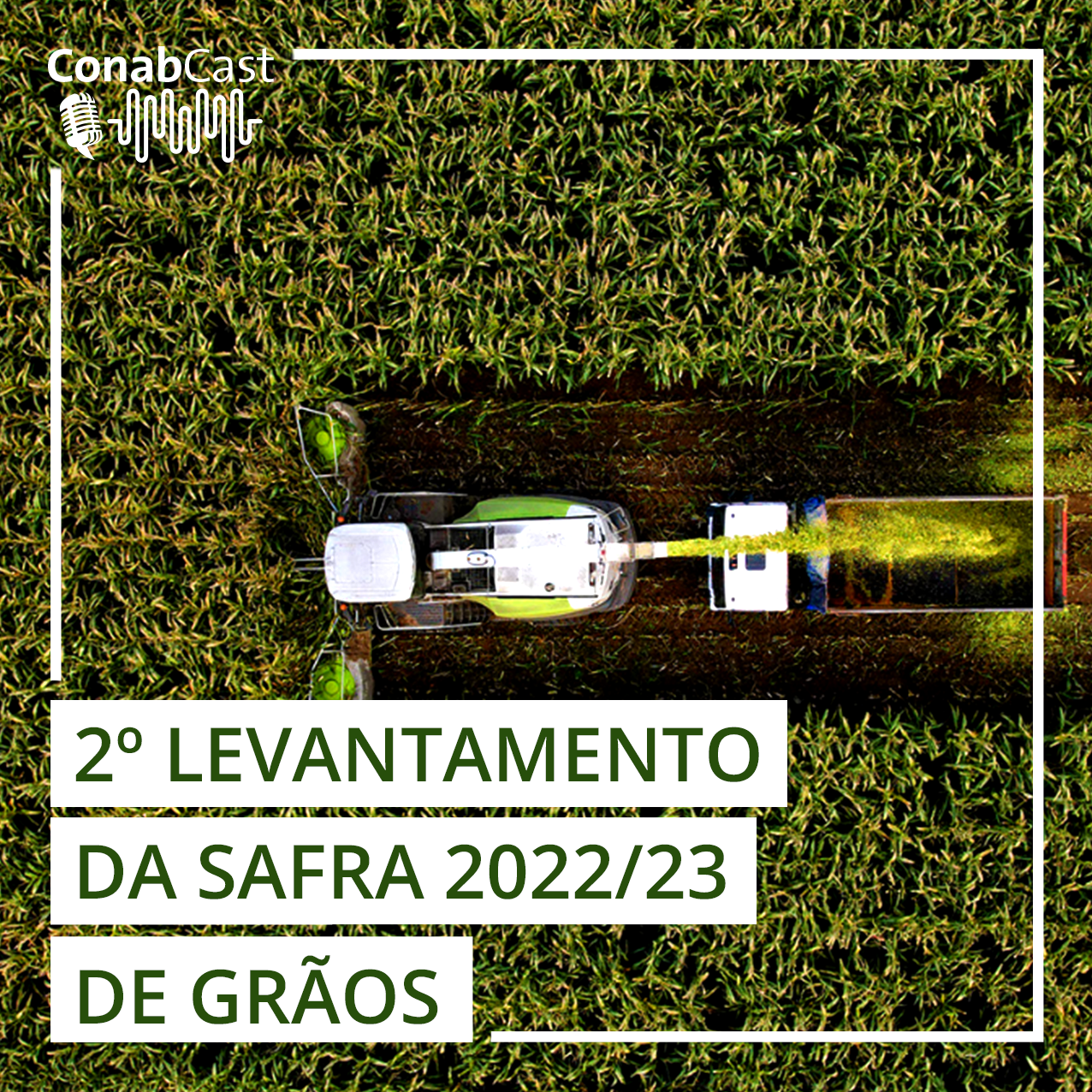 Produção de grãos é estimada em 313 milhões de toneladas na safra 2022/23