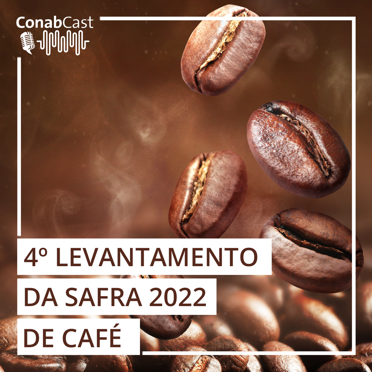 Safra de café deve encerrar o ciclo de 2022 com uma produção de 50,92 milhões de sacas