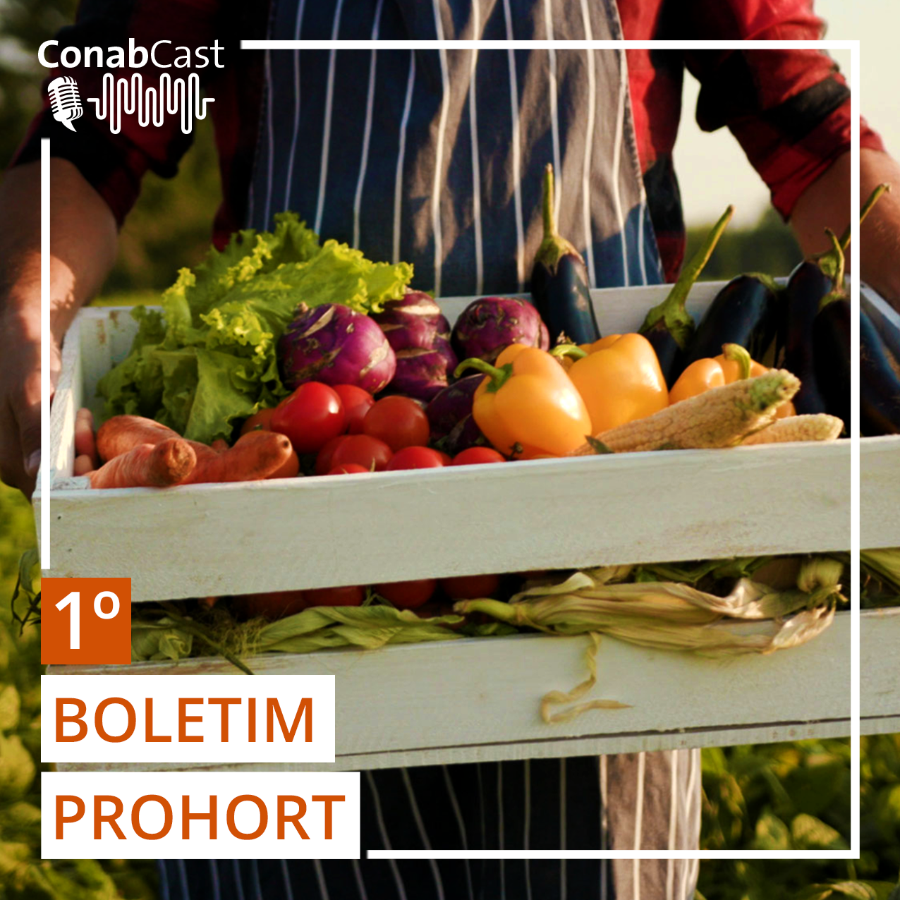 Boletim Prohort: Frutas registram queda das cotações no atacado, enquanto preços de batata e tomate sobem