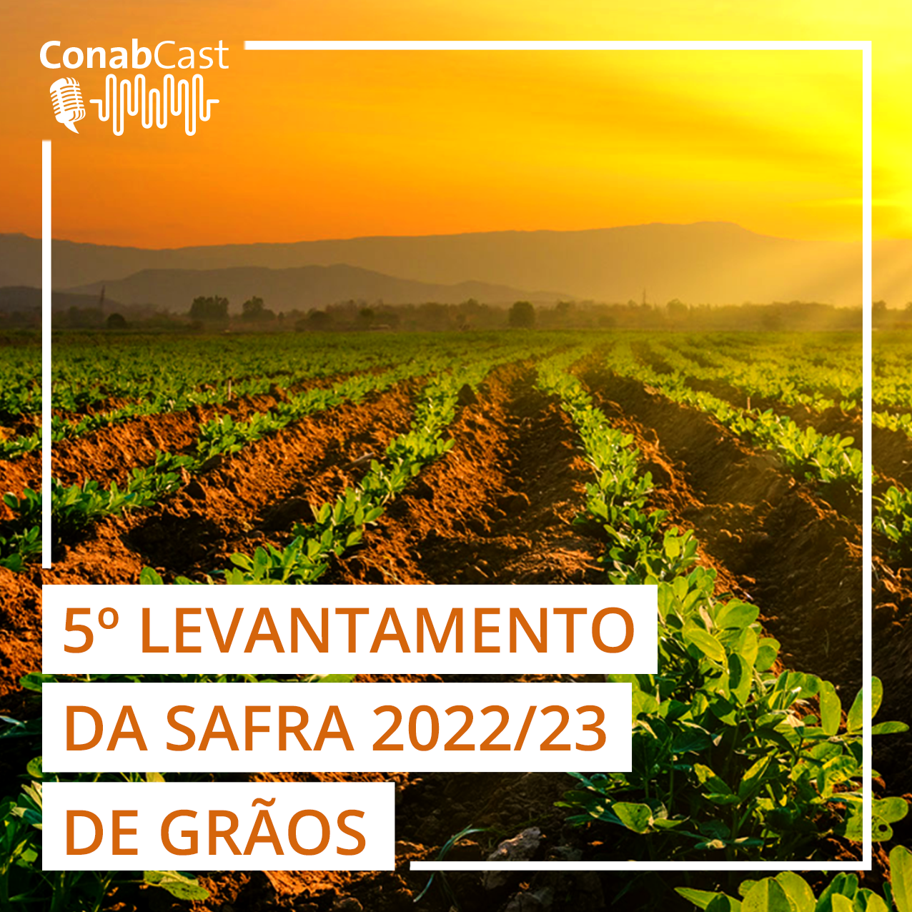 Safra de grãos é estimada em 310,6 milhões de toneladas com ganhos de produtividade no Centro-Oeste