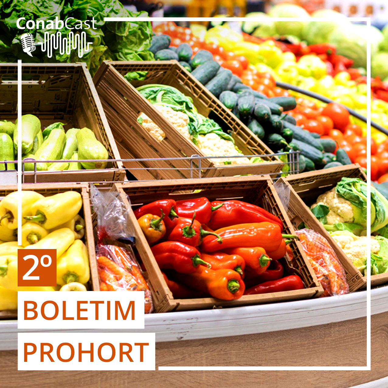 BOLETIM PROHORT: Cebola fica mais barata no atacado após aumento da oferta no Sul do país