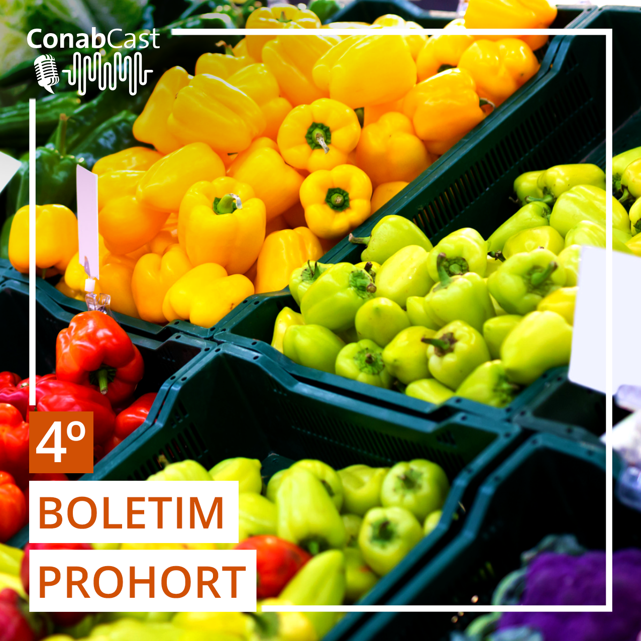 Comercialização de frutas e hortaliças nas Ceasas movimenta mais de R$ 60 bilhões na economia