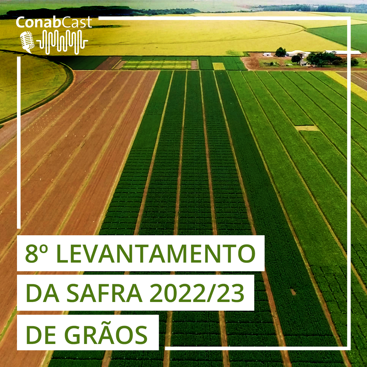 Com boa produtividade, safra de grãos 2022/23 é estimada em 313,9 milhões de toneladas