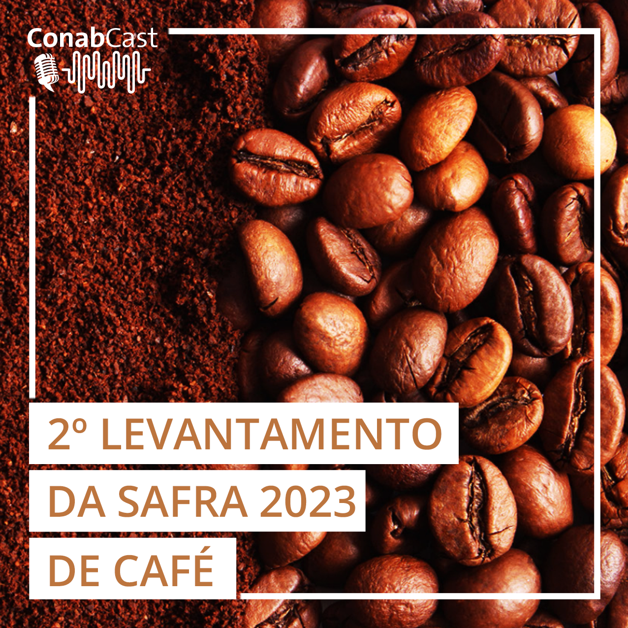 Café arábica corresponde a 67% e café conilon a 33% da produção dos Cafés  do Brasil em 2022 - Revista Cultivar