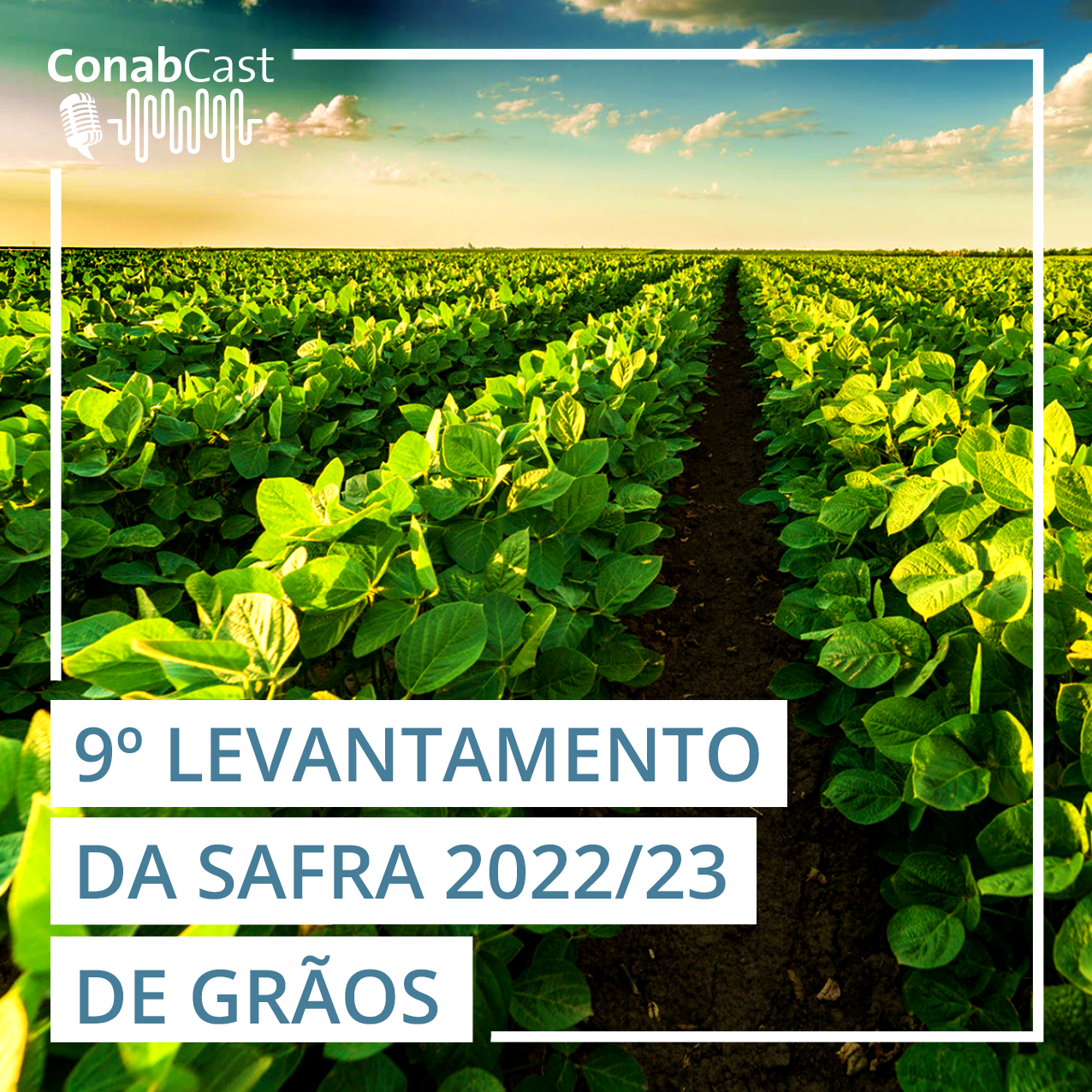Safra de grãos é estimada em 315,8 milhões de toneladas influenciada por aumento de área e produtividade