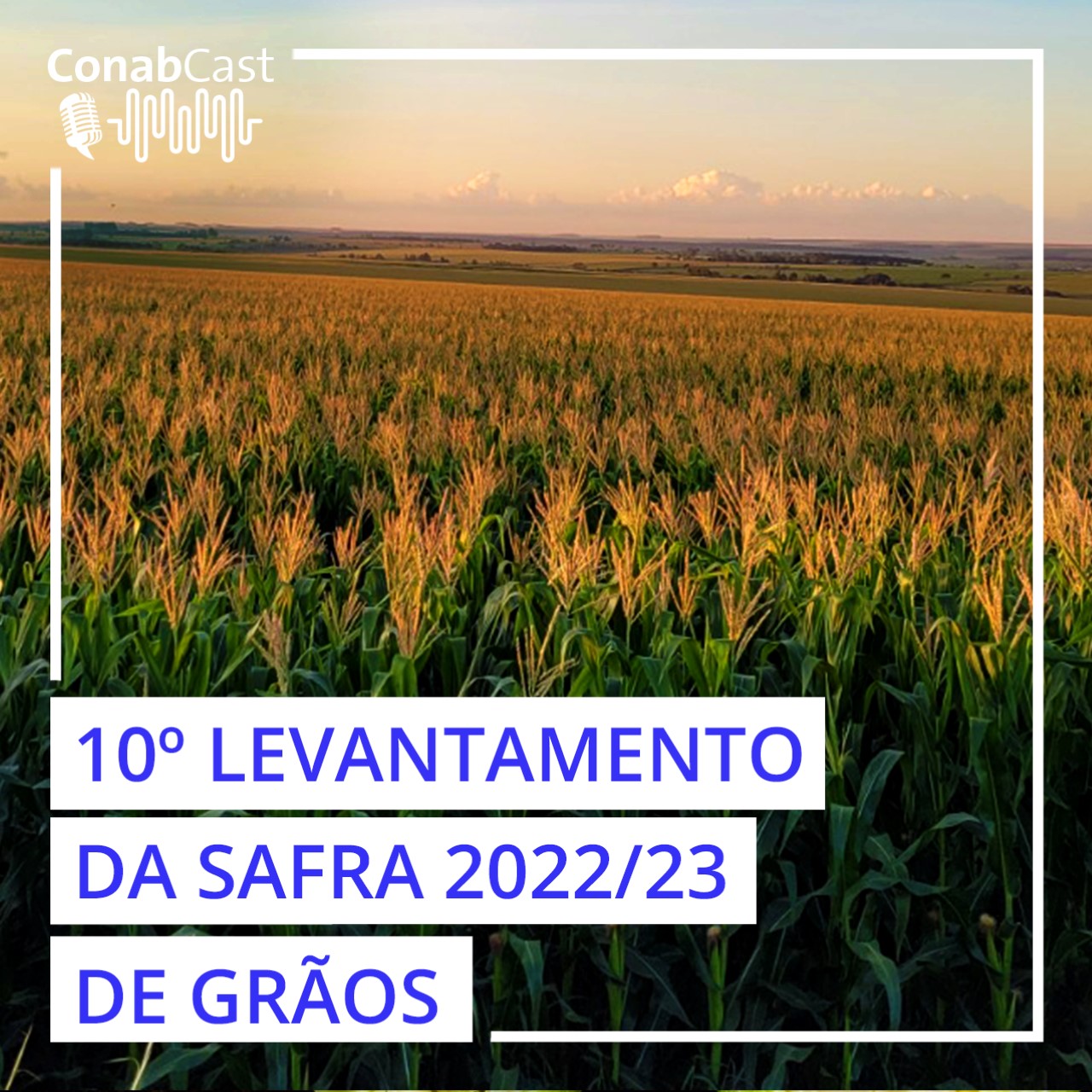 Brasil deve produzir maior safra histórica de grãos no ciclo 2022/2023, com 317,6 milhões de toneladas