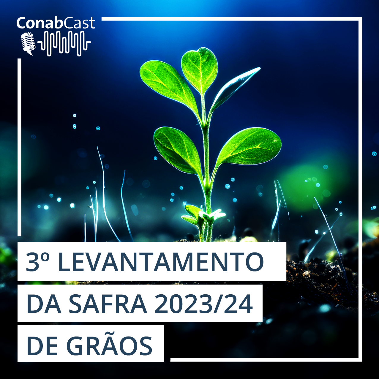 Com influência do clima, safra 2023/24 de grãos é estimada em 312,3 milhões de toneladas