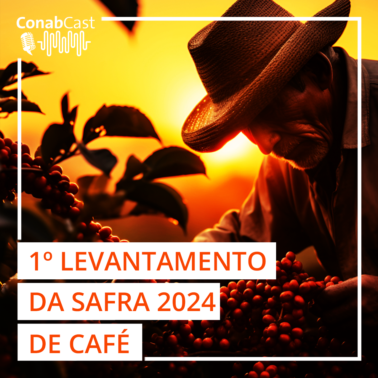 Clima mais favorável e bienalidade positiva apontam produção estimada em 58,08 milhões de sacas de café