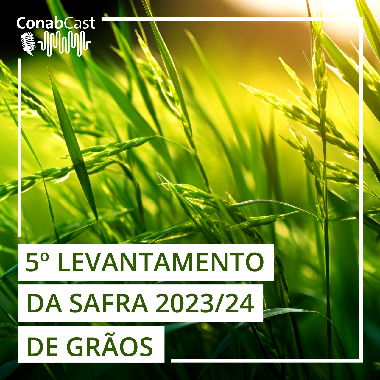 Clima adverso impacta safra 2023/24 estimada em 299,8 milhões de toneladas